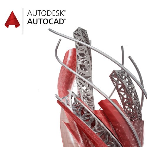 AutoCAD 2022 1년 라이선스 / 단일사용자용